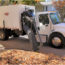 ARM Chassis/Skid Mounted Leaf Collector - Image 2