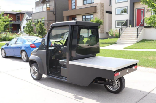 Westward MAX-EV 3 2-PASSENGER - Image 3