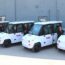 Westward MAX-EV 4 Passenger - Image 4